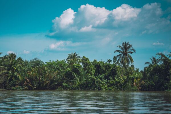 mekong-delta-tour