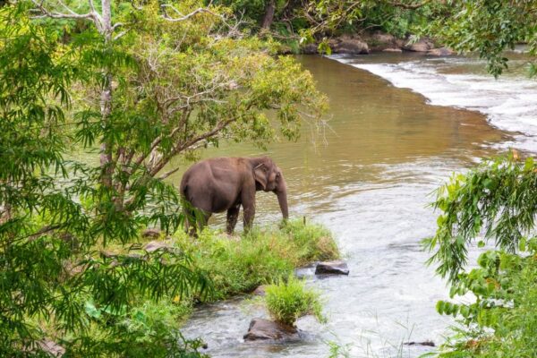 southern-laos-holiday