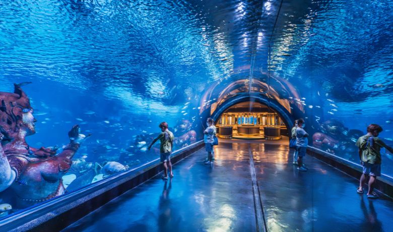 is-phuket-worth-visiting-7-phuket-aquarium