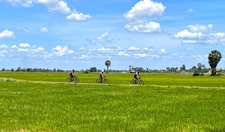 visiting-cambodia-in-july-14-cycle-through-rice-field