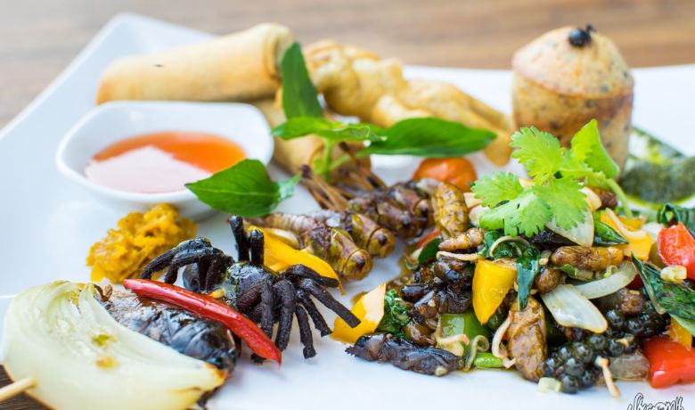 cambodia-facts-6-insect-menu
