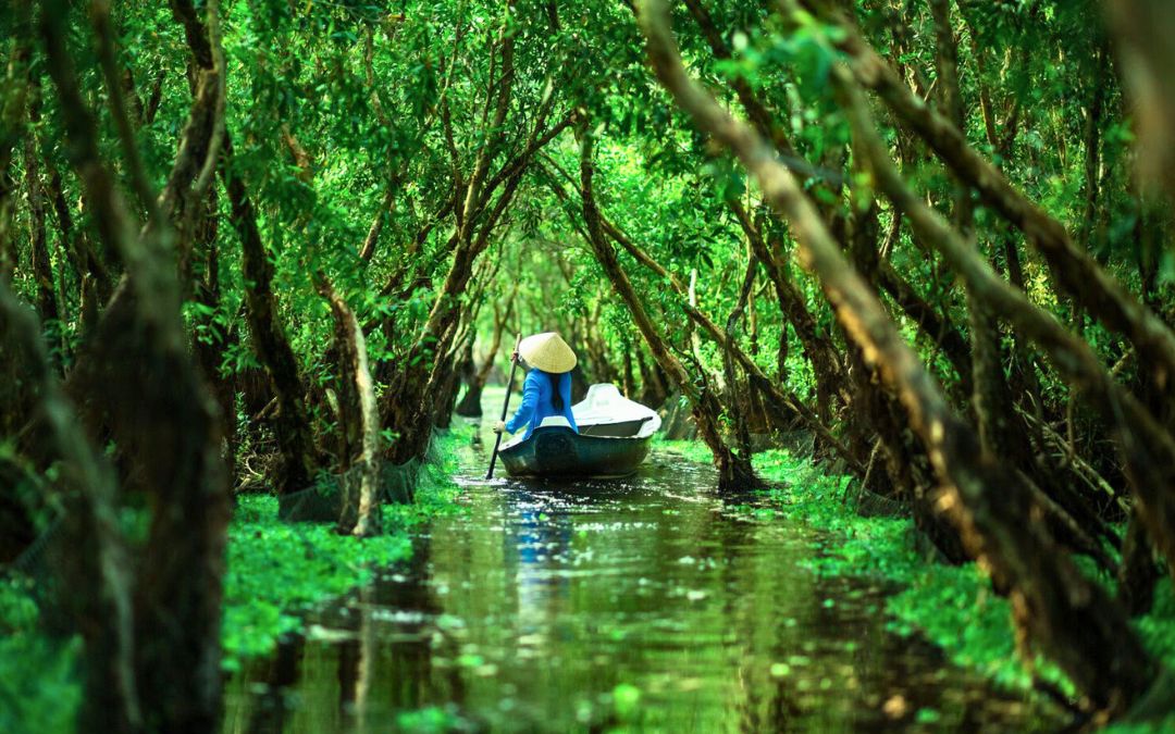 what-to-see-in-mekong-delta-3