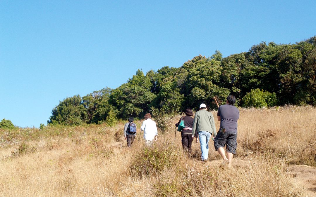 activities-in-chiang-mai-2