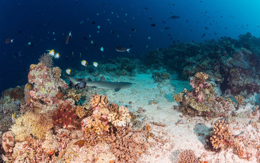 southeast-asia-adventures-14