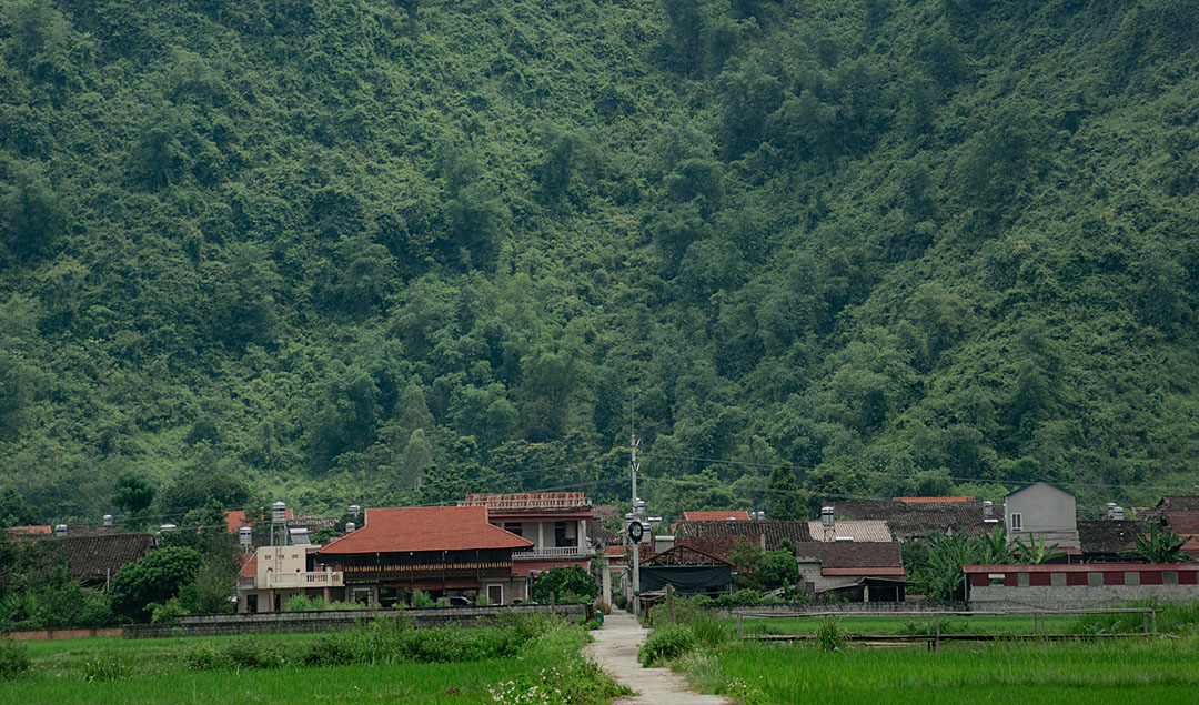 best-place-to-see-fireflies-1