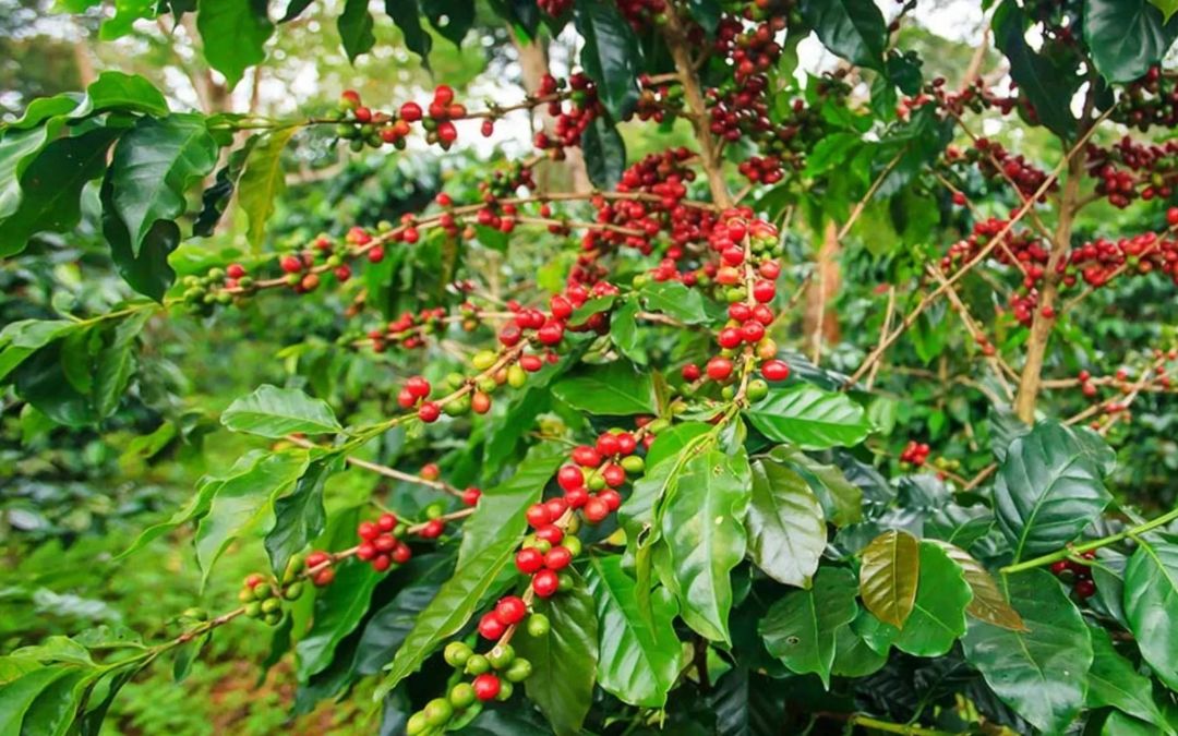 laos-in-southeast-asia-4