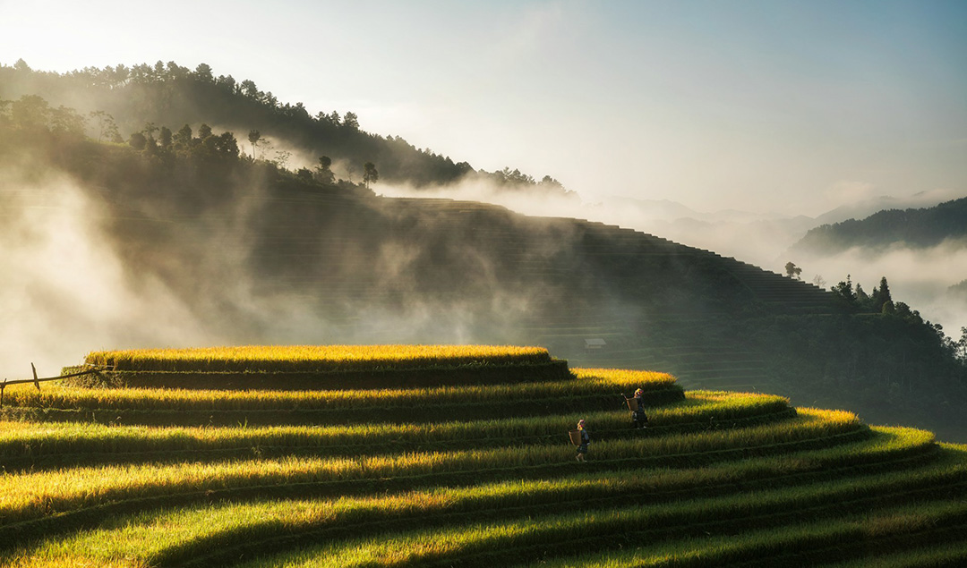 vietnam-travel-checklist-01