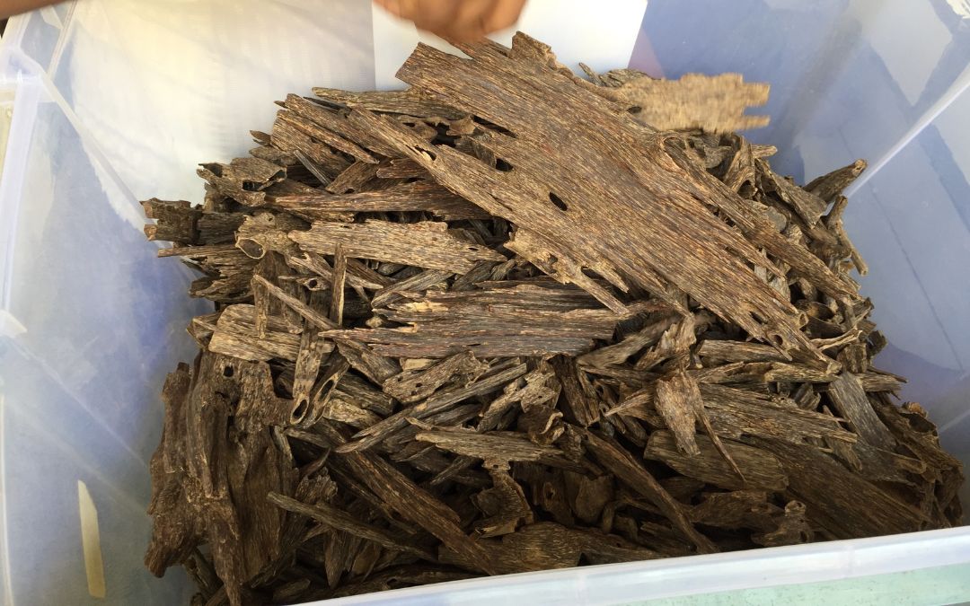 presents-from-vietnam-13