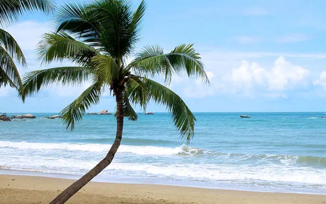 surfing-in-cambodia-2