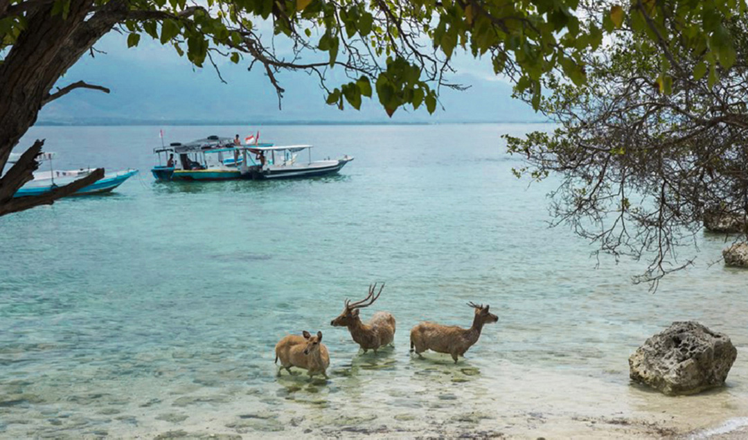 ecotourism-in-bali-2