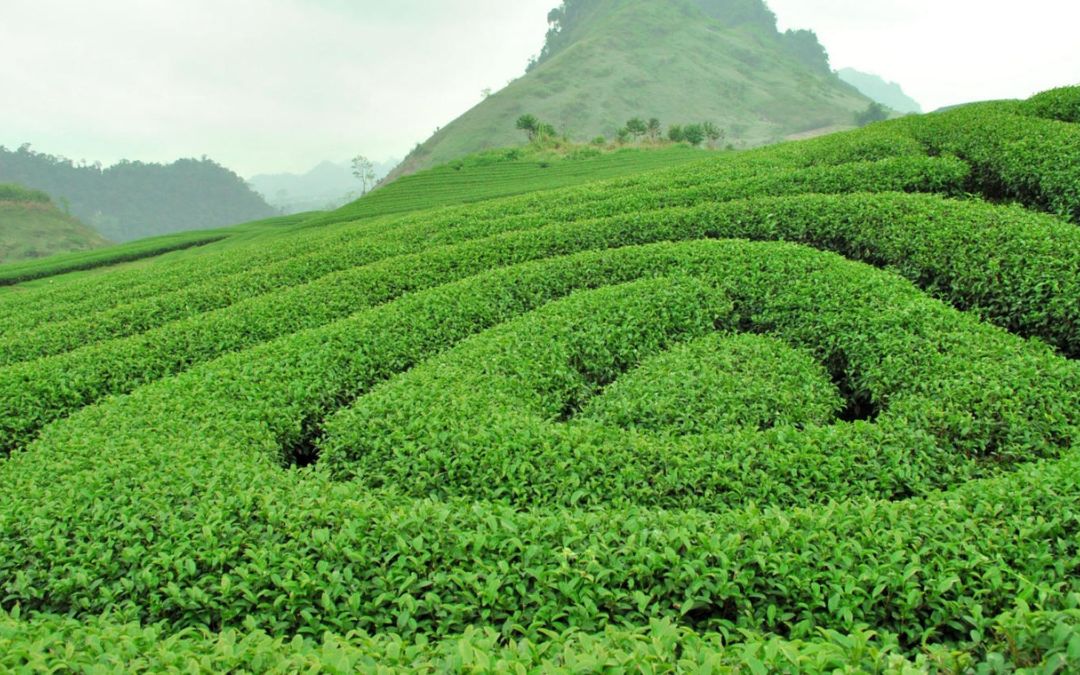 north-vietnam-provinces-12