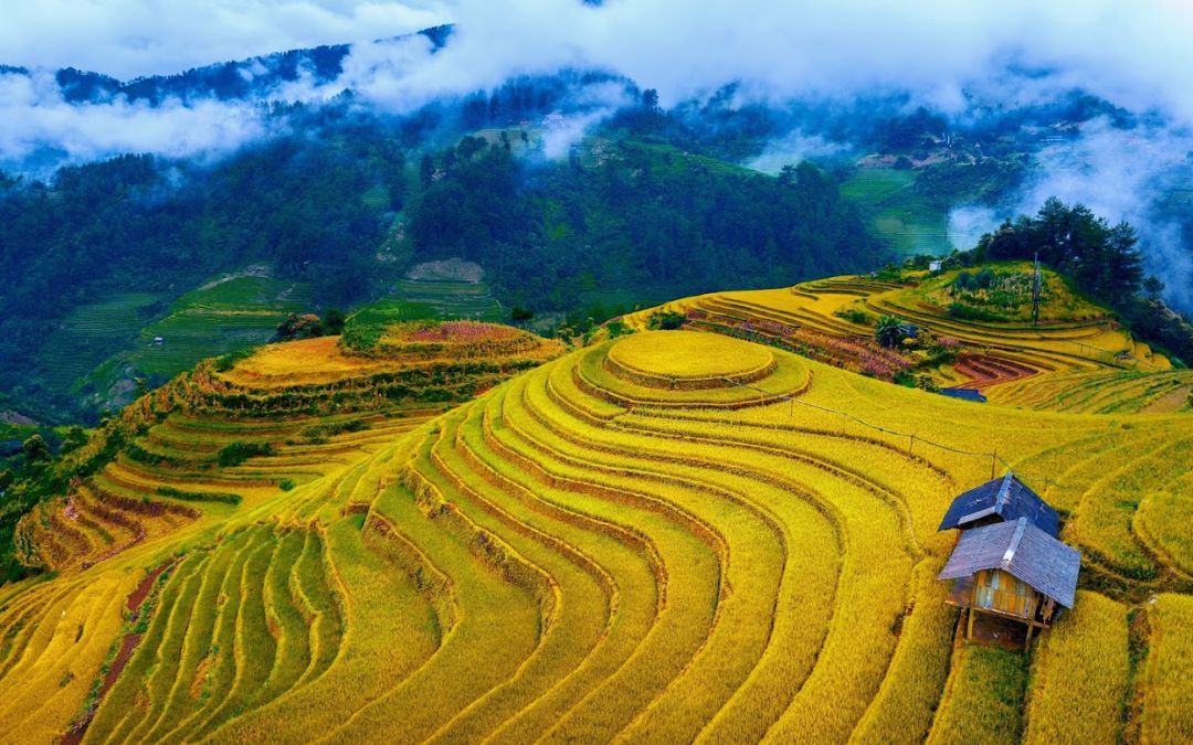 north-vietnam-provinces-9