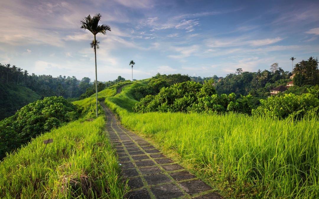 free-things-to-do-in-bali-1
