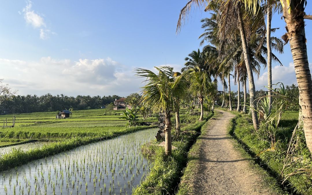 free-things-to-do-in-bali-16