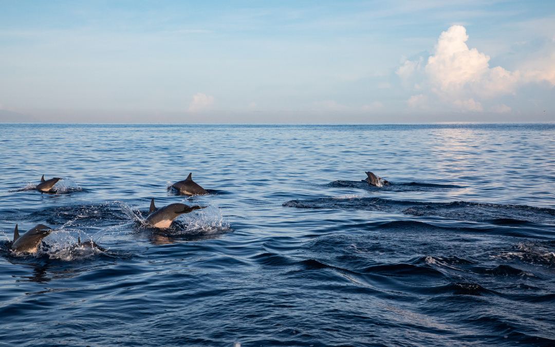 multi-centre-bali-holidays-4