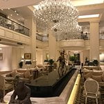 Apricot hotel - ICP review