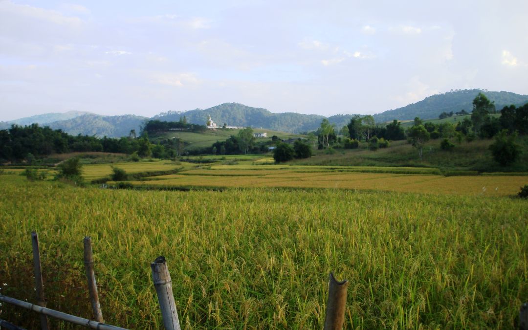 cold-places-in-southeast-asia-9