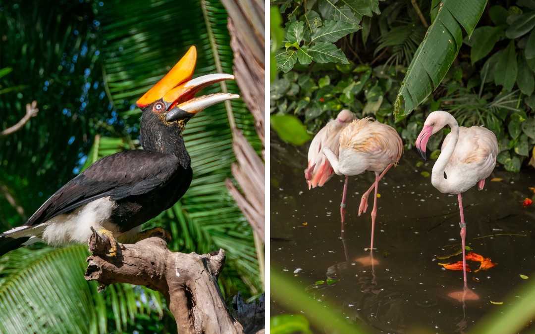 things-to-do-in-bali-with-family-2