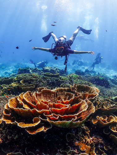 Thailand Family Holiday