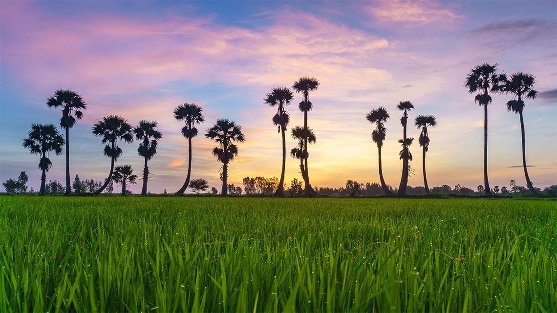 Indochina Holiday: Past and Present | Asia Pioneer Travel