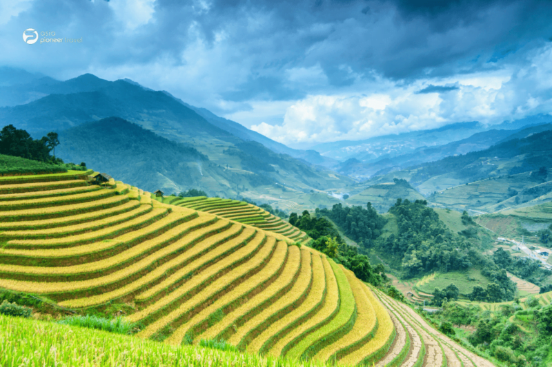 vietnam private tours