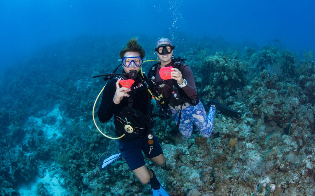 best-time-to-visit-thailand-7