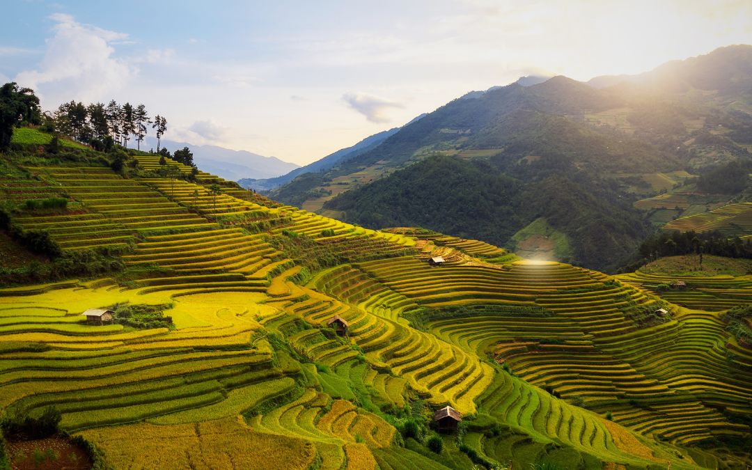 rice-terraces-in-vietnam-1-mu-cang-chai