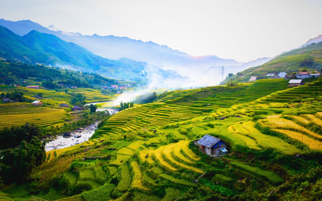 rice-terraces-in-vietnam-2-sapa