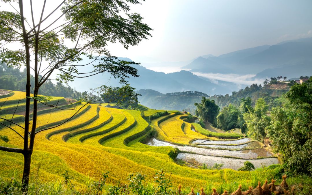 rice-terraces-in-vietnam-3-bac-son-valley