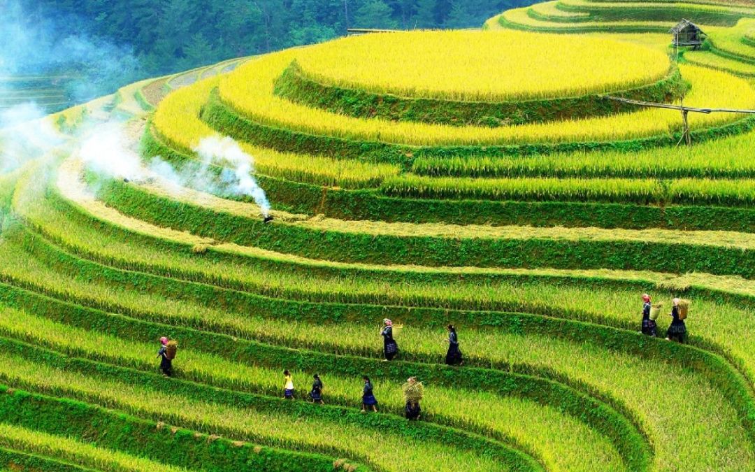 mountains-in-vietnam-0