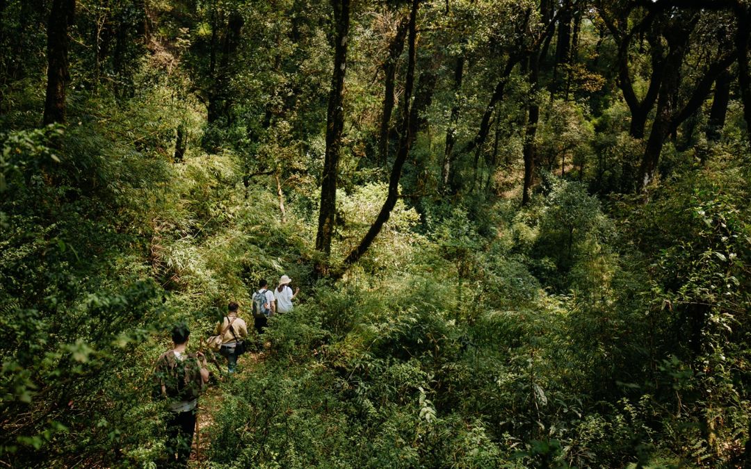 mountains-in-vietnam-15