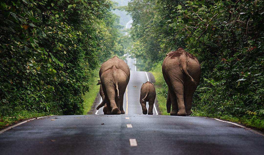thailand-national-park-3