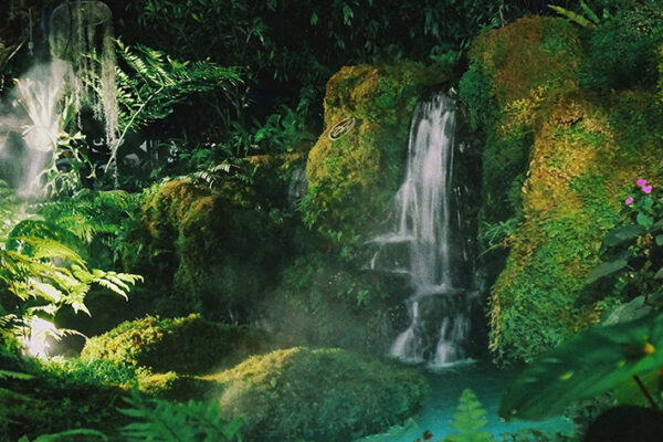 Beyond the Beaches: Discover The Wild Heart in 12 Breathtaking Thailand National Parks