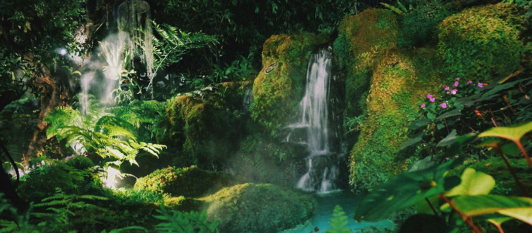 Beyond the Beaches: Discover The Wild Heart in 12 Breathtaking Thailand National Parks
