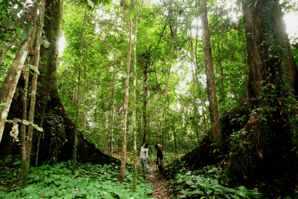 Cat Tien National Park: Discover The Pristine Nature Of Southern ...