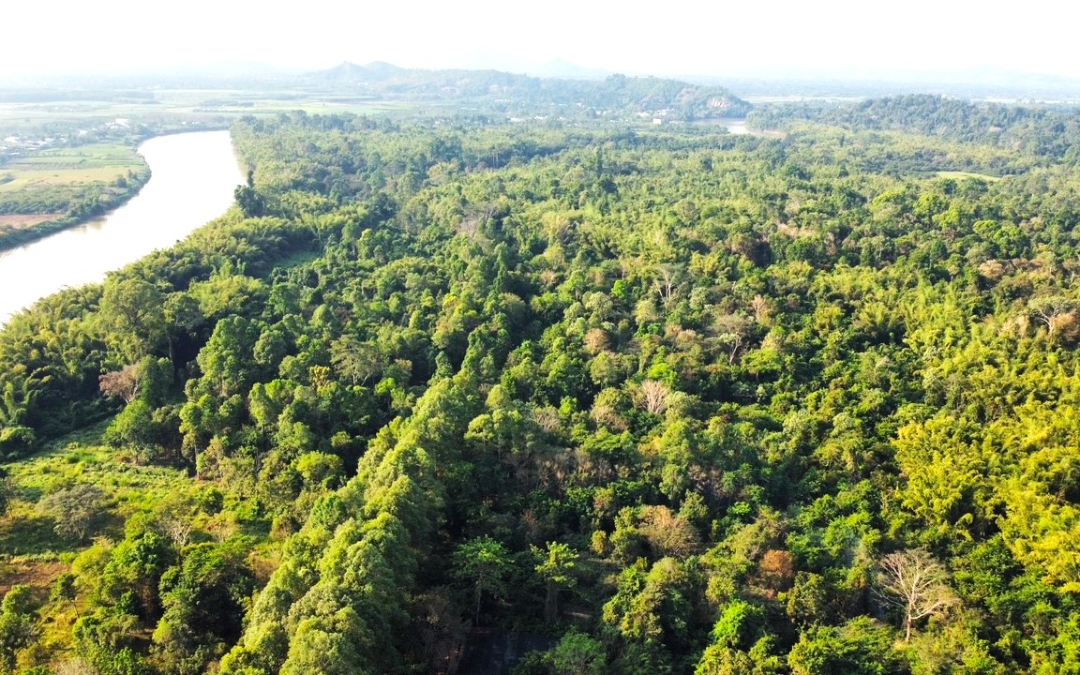 cat-tien-national-park-1