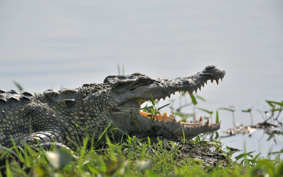 cat-tien-national-park-12