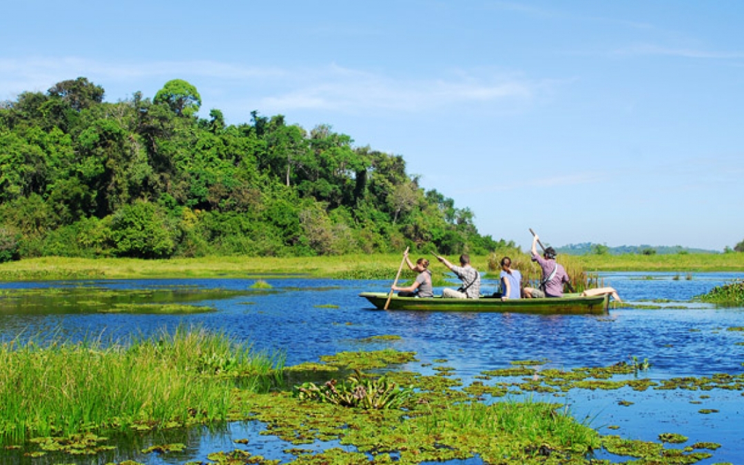 cat-tien-national-park-4