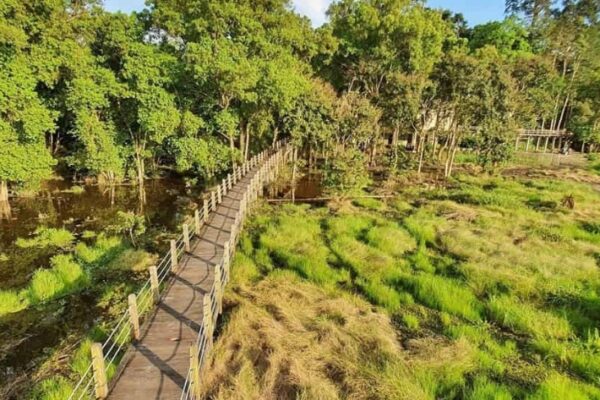 Cat Tien National Park: Discover The Pristine Nature Of Southern Vietnam