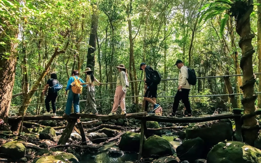 cat-tien-national-park-8