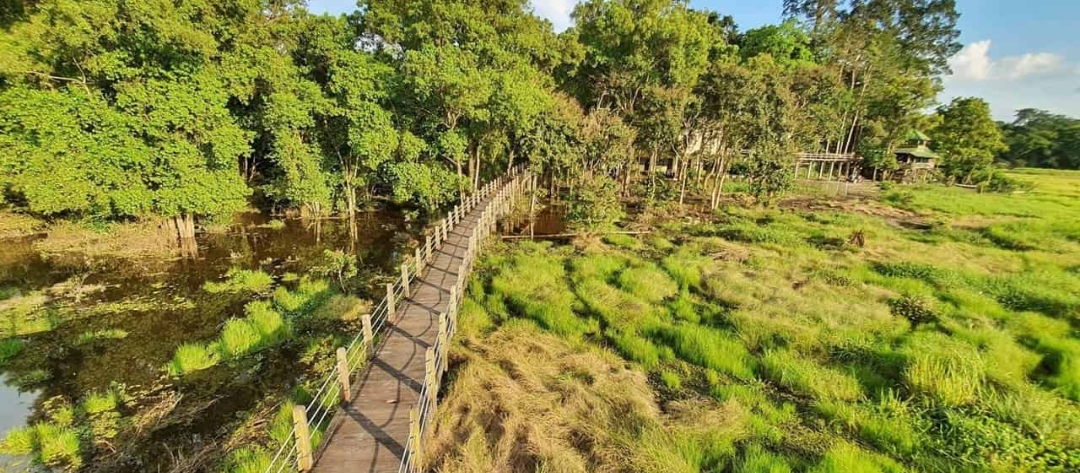 Cat Tien National Park: Discover The Pristine Nature Of Southern Vietnam