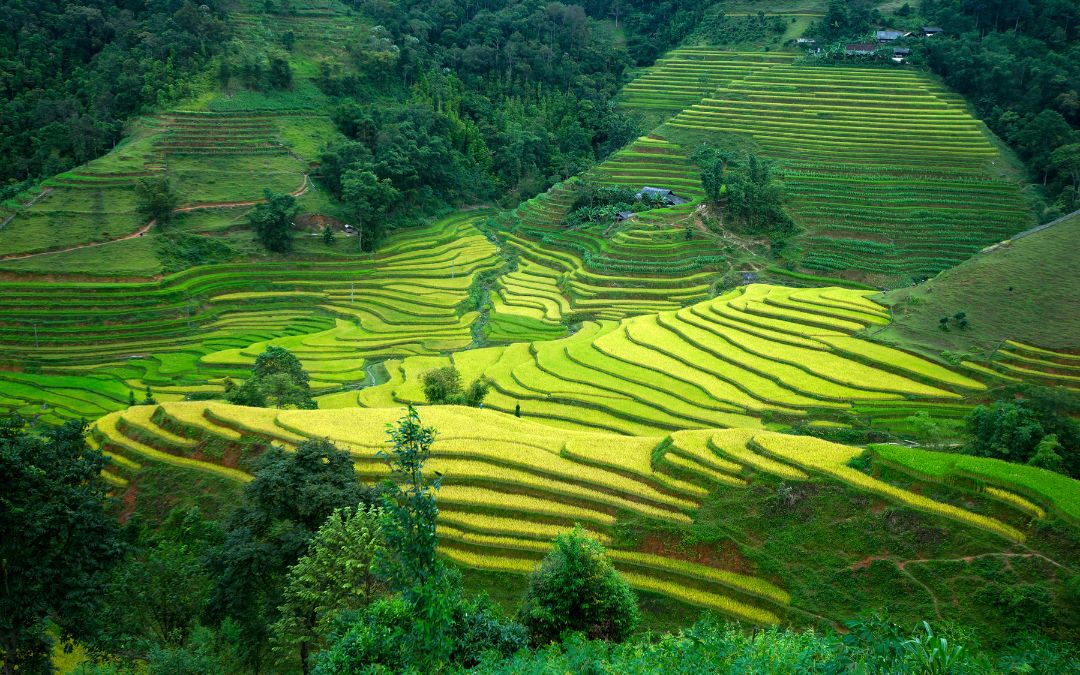 ha-giang-loop-2