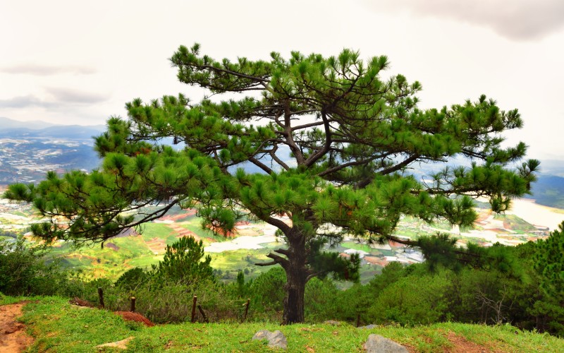 sites-for-trekking-in-vietnam-5