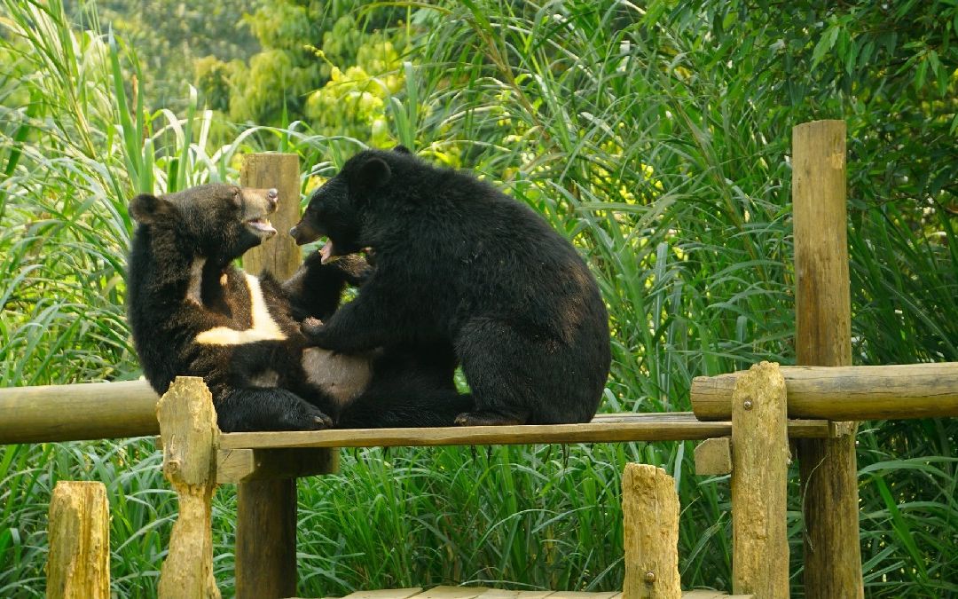 things-to-do-in-ninh-binh-14