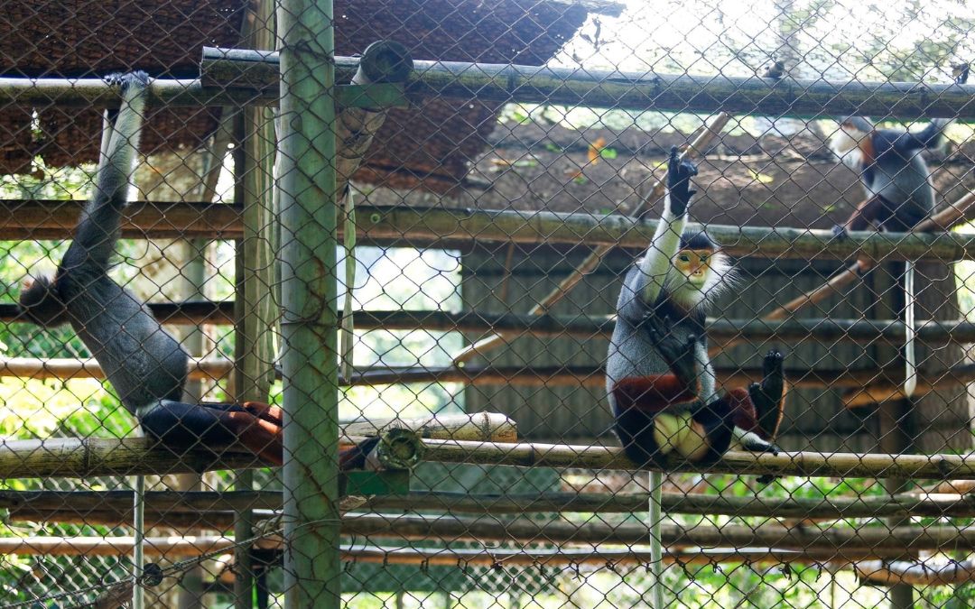 things-to-do-in-ninh-binh-15