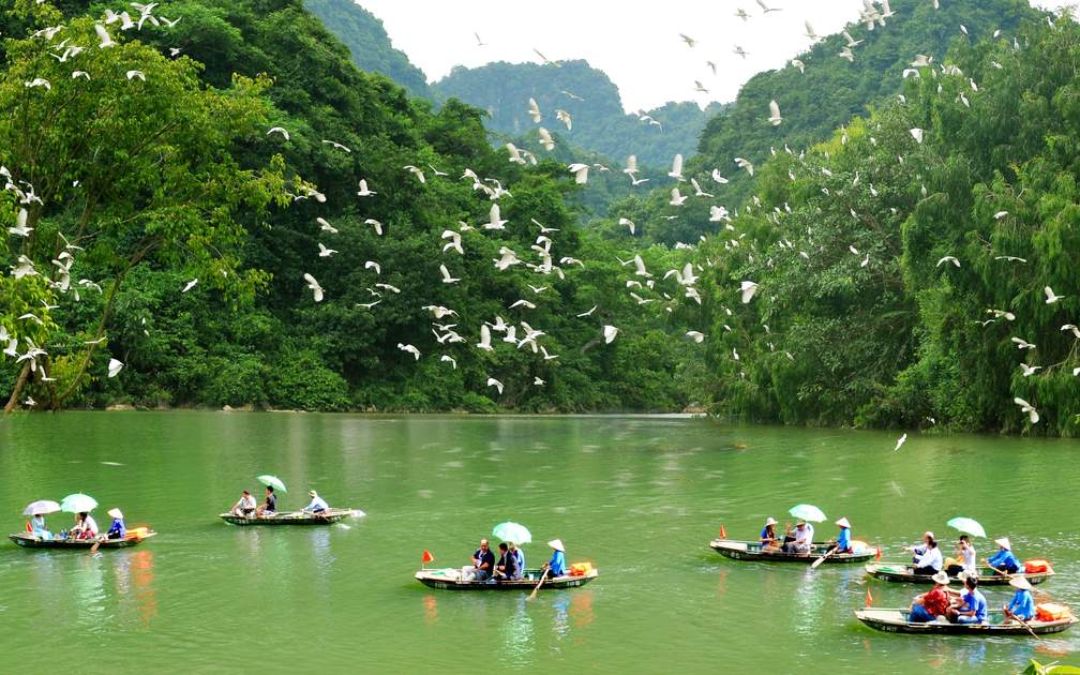 things-to-do-in-ninh-binh-16