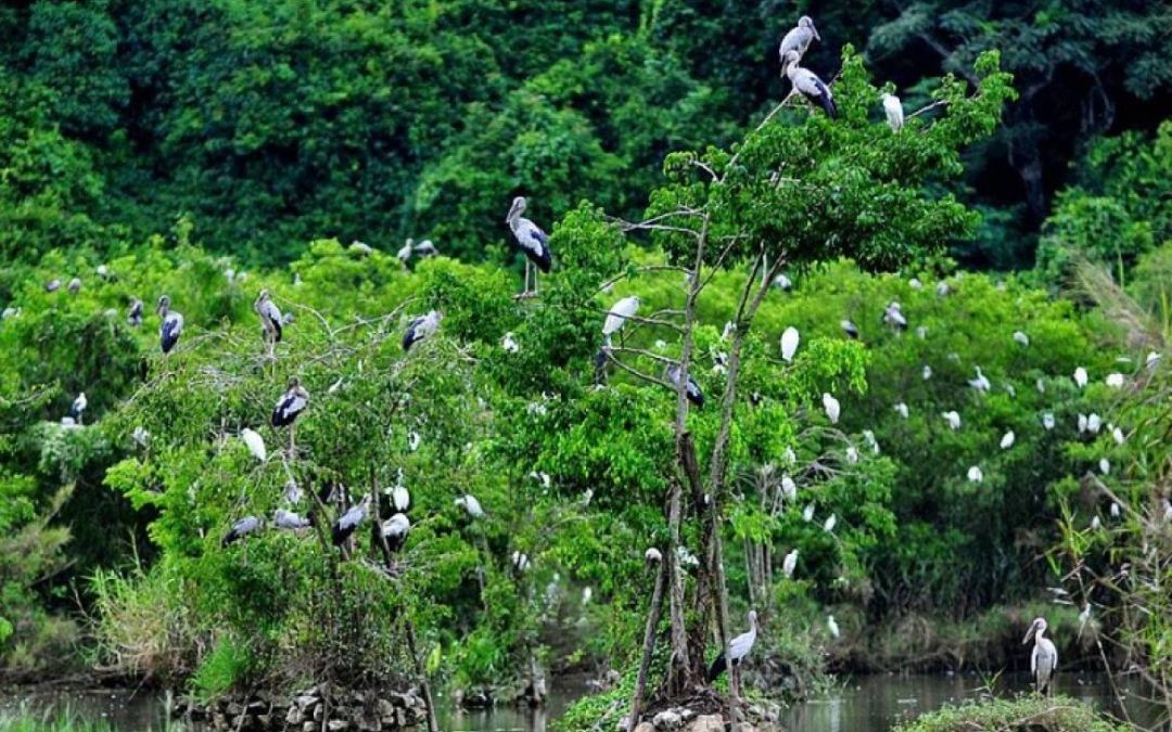 things-to-do-in-ninh-binh-7