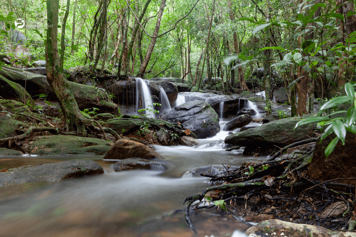 Discover wildlife in Phu Quoc National Park