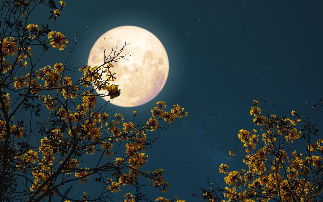 mid-autumn-festival-in-vietnam-1