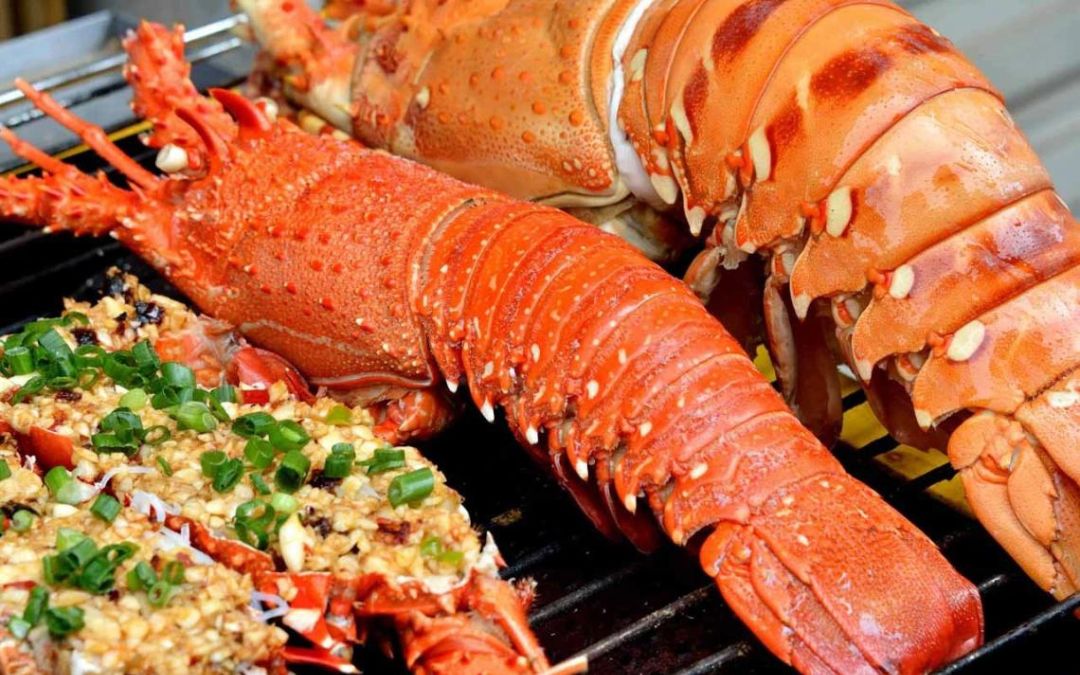 phu-quoc-travel-guide-slipper-lobster